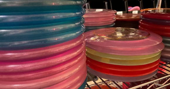 Discraft 2021 Tour Series & Big Z Luna